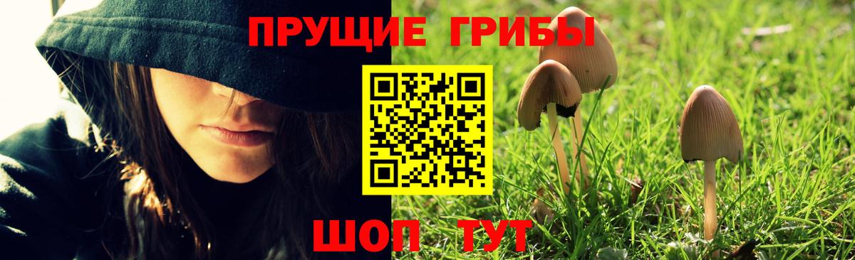 Псилоцибиновые грибы прущие грибы Сибай